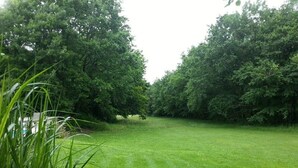 A grassy outdoor area with trees and a building in the background.