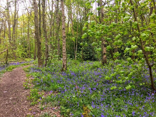 Spacious 4 bed home from home near Warwick Uni, Coventry, NEC