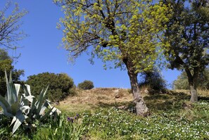 المنطقة المحيطة بالمنشأة