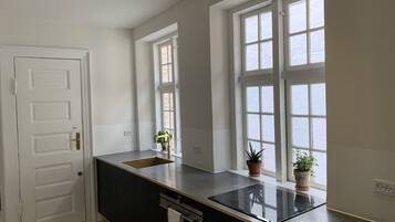 Fridge, oven, stovetop, dishwasher