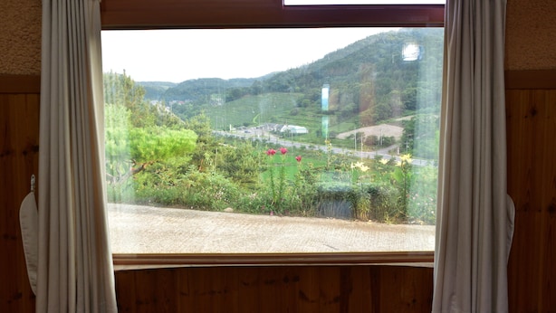 A window with curtains, a view of a green landscape with trees and a road. - Golmangtae (Boseong)