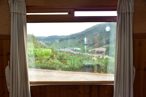 A window with curtains, a view of a green landscape with trees and a road. - Golmangtae (Boseong)