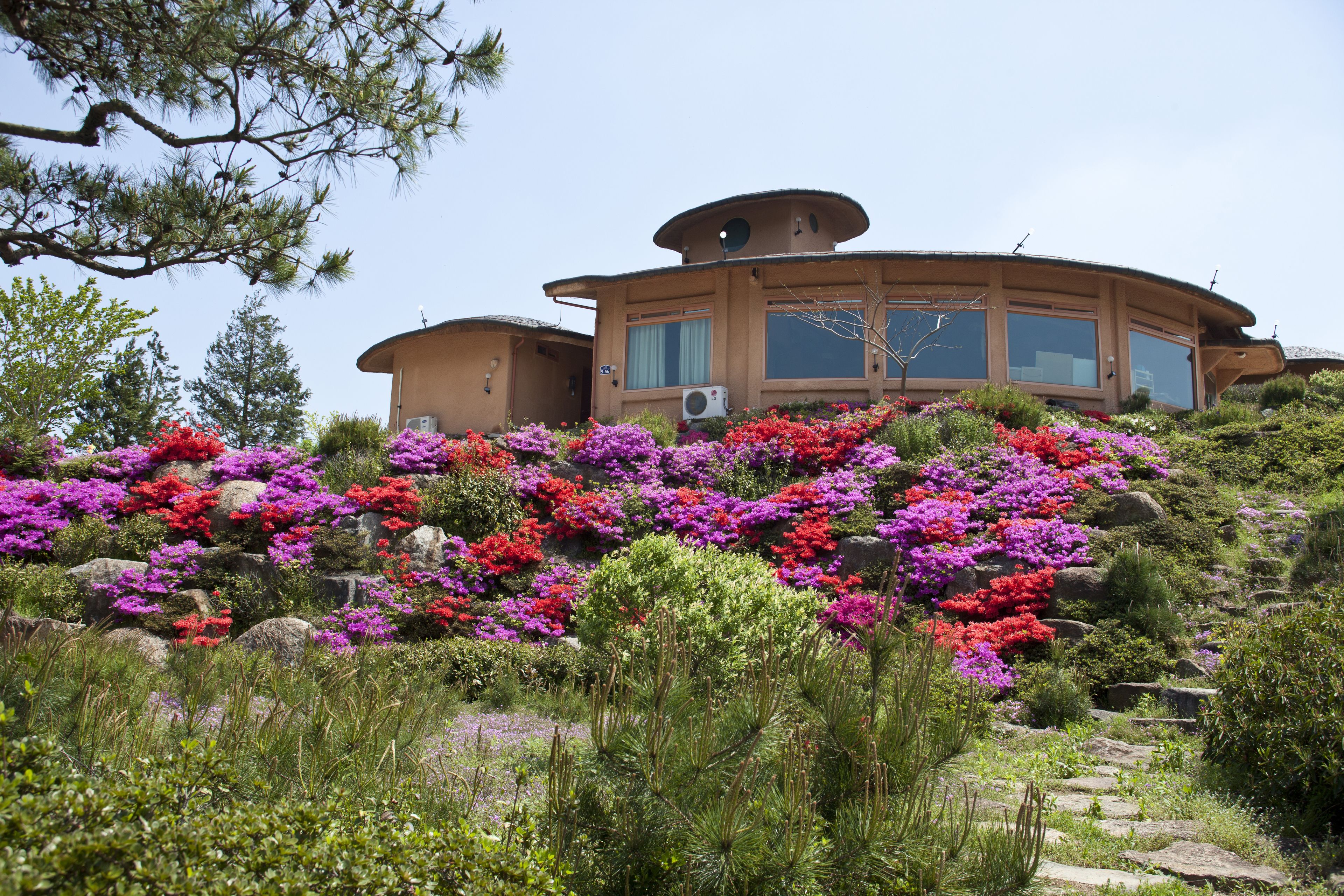 A modern house with a unique curved roof, surrounded by a vibrant garden with various flowering plants.