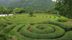 Property grounds - Golmangtae (Boseong)
