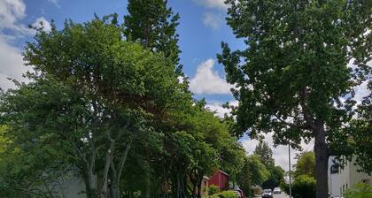 In der Stadt Akureyri! Oddeyrargata 10B