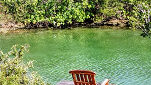 A wooden dock with a chair facing a calm body of water, surrounded by lush greenery. - Waterside Paradise! (Thompson Cove)
