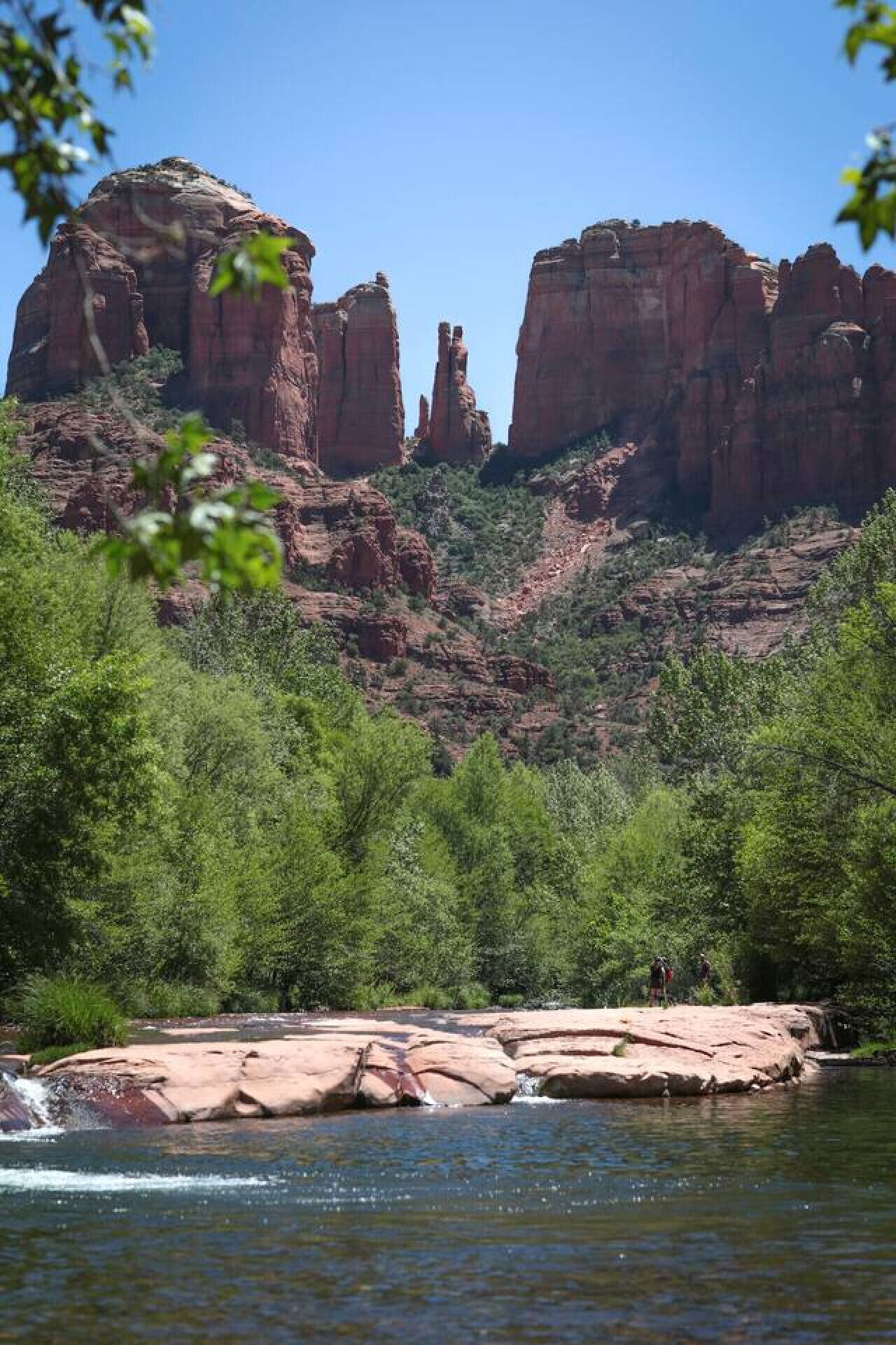 Un río con afloramientos rocosos y densa vegetación verde en primer plano, que conduce a un paisaje montañoso al fondo.