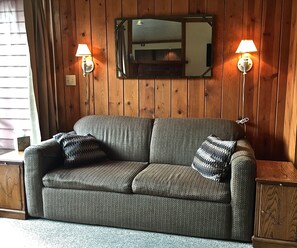 TV, caminetto, lettore DVD