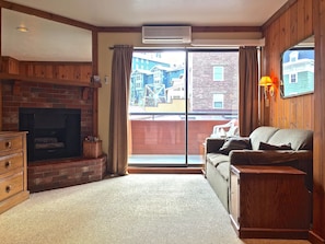 TV, fireplace, DVD player