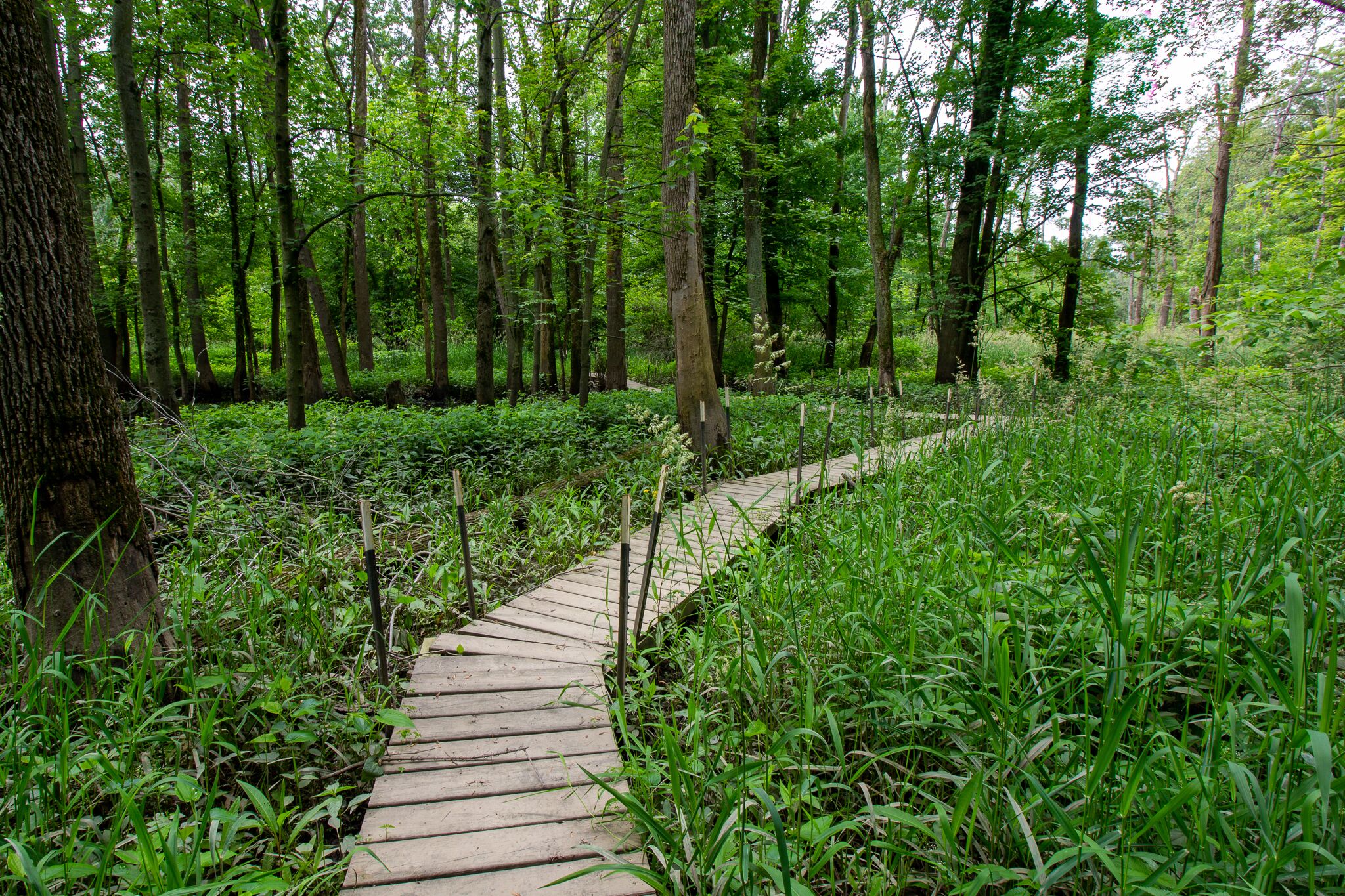 Private Kayak Launch and Zip Line  - Available for Long or Short Term Stays