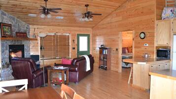 TV, fireplace, DVD player, books