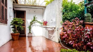 A narrow courtyard with terracotta flooring, potted plants, and a white wall. - S125 - Sirolo, new three-room apartment in the heart of the town (Sirolo)