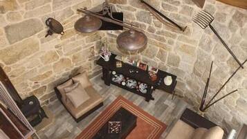 Smart TV, fireplace, books