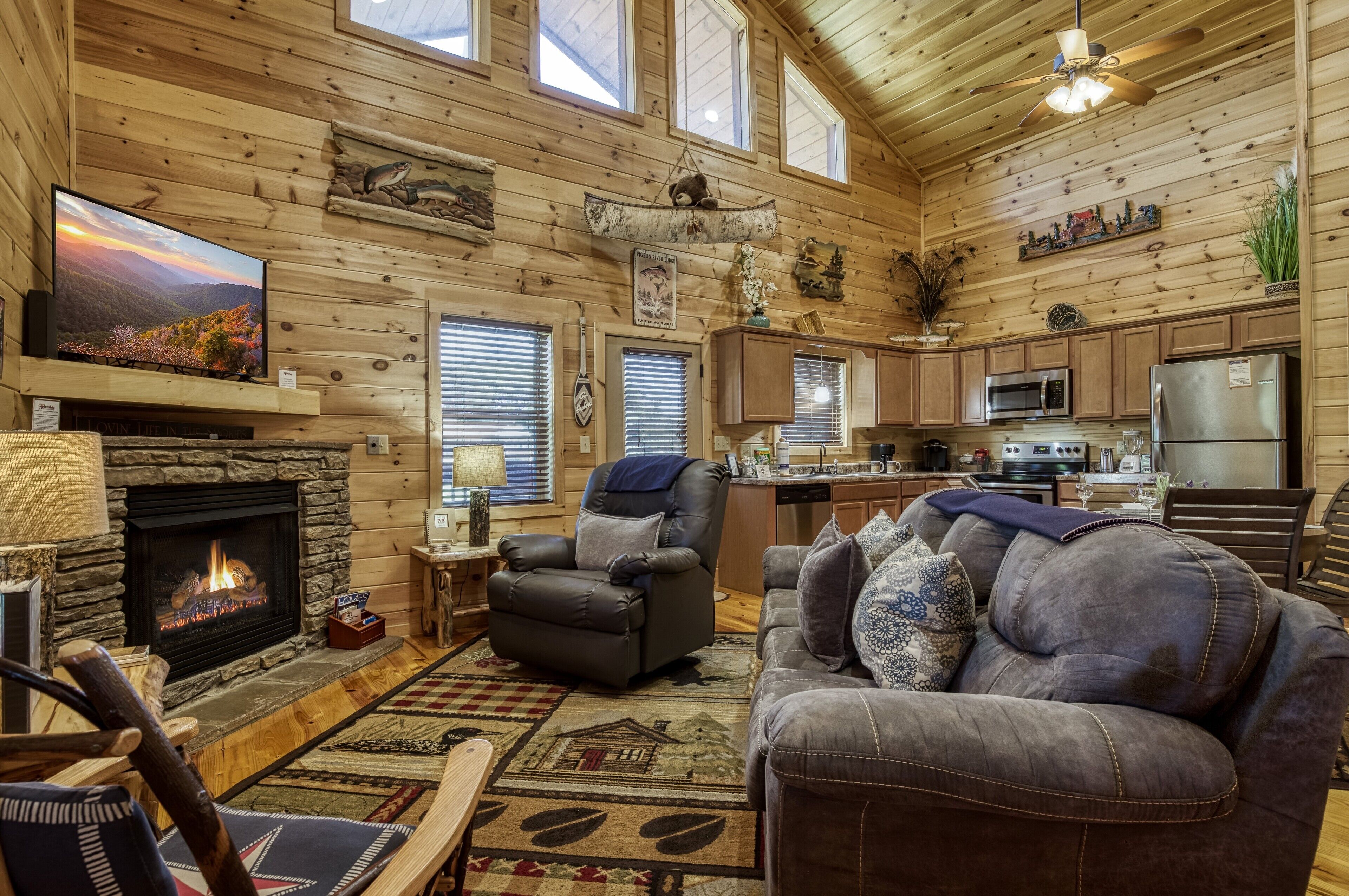 TV, fireplace, video games