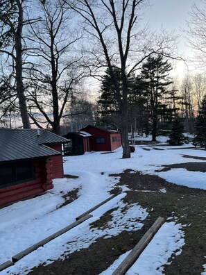 A cabin with a metal roof, surrounded by snow-covered ground and trees.