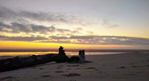 Plage, chaises longues, serviettes de plage