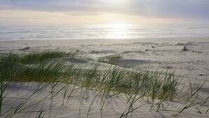 Ein Strand mit Dünen und Gras im Vordergrund.