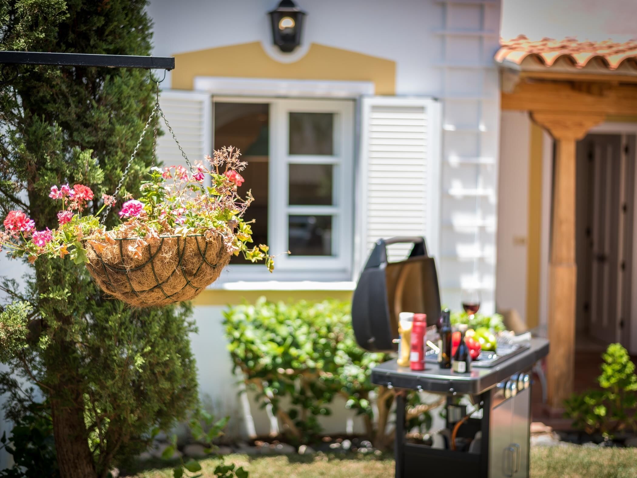 A hanging flower basket with pink flowers, a tree, and a patio area with a grill and outdoor seating.