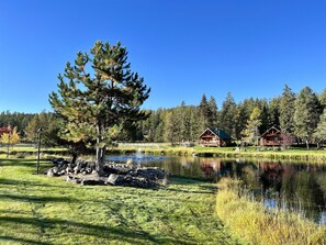 Terrain de l’hébergement 