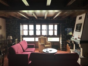 TV, fireplace, books