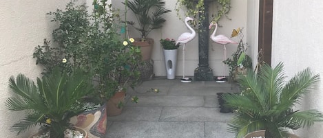 外部細節
