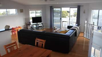 Video game console, DVD player