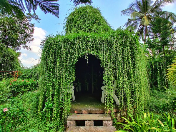 Garden - Anil Farms Gir Jungle Resort (Mendarda)