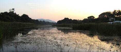 Un río tranquilo con una cascada al frente, rodeado de abundante vegetación y árboles.
