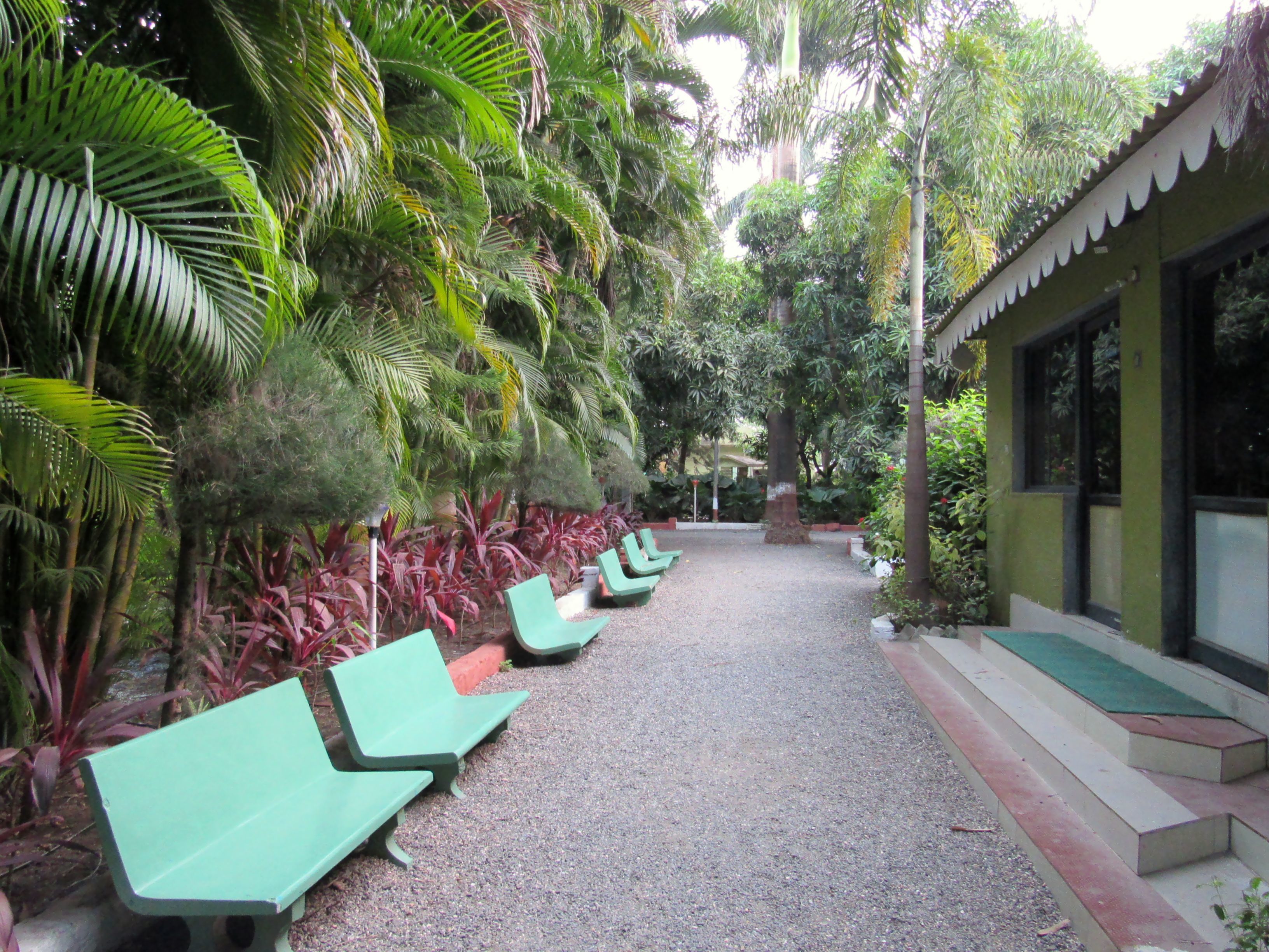 A pathway lined with green benches, surrounded by lush tropical foliage and a building with large windows.