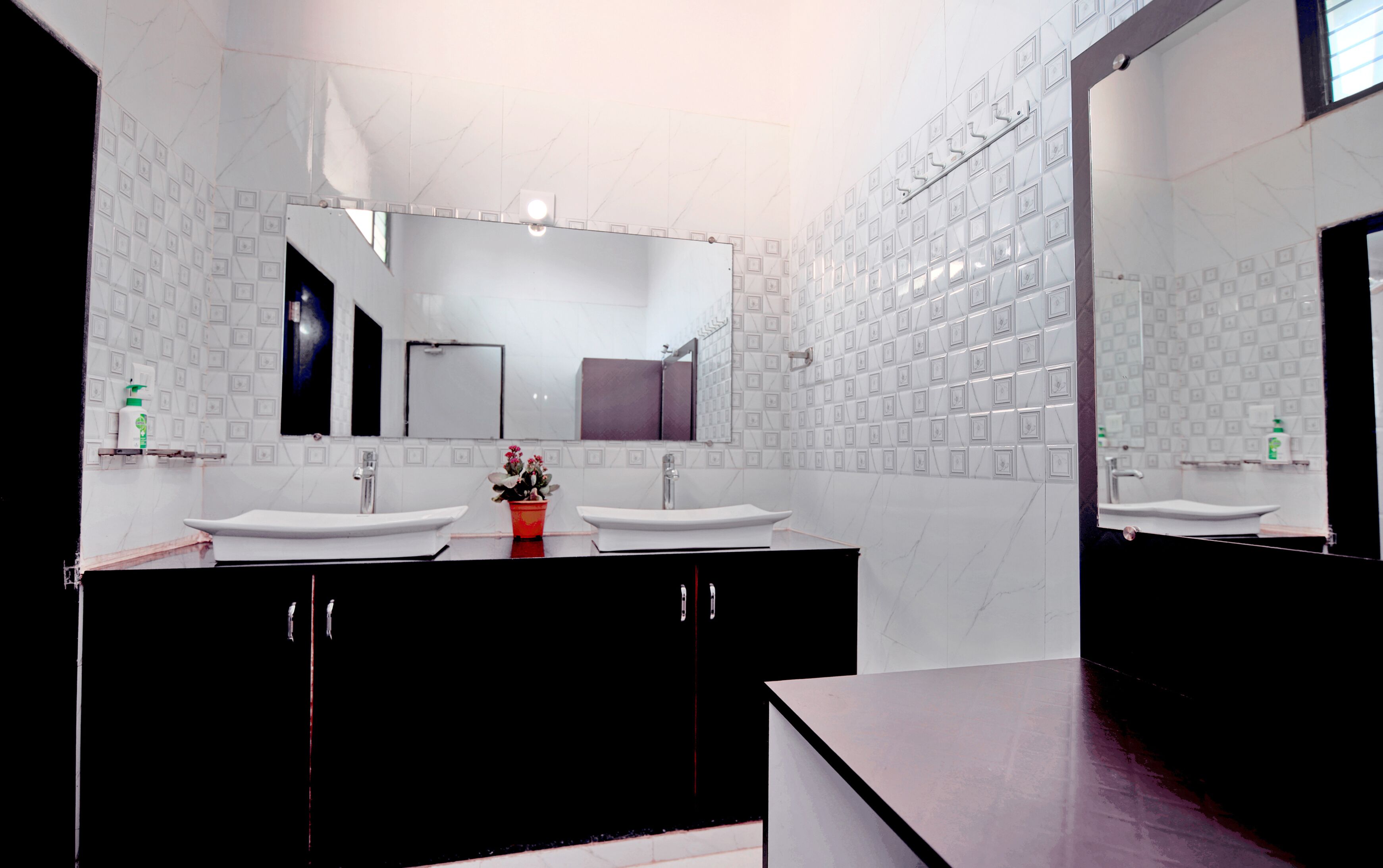 Une salle de bain moderne avec deux lavabos, un grand miroir et une plante en pot.