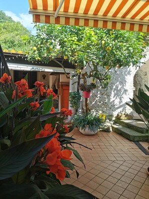 Overnattingsstedets uteområder