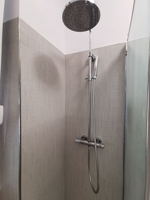 Regadera, secadora de cabello, bidet, toallas 
