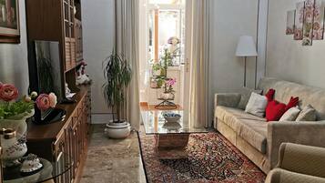 Smart TV, chimenea y libros