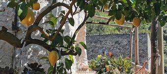 🍋"Lemon Tree House" with garage for MTB