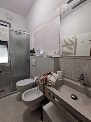 Regadera, secadora de cabello, bidet, toallas 