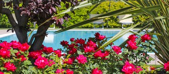 Agriturismo La Rocca