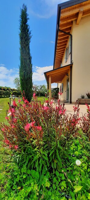 Chambre Deluxe Double ou avec lits jumeaux, terrasse, dans les dépendances | Terrasse/Patio