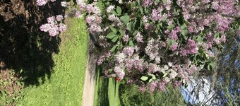 Cozy 1 Bedroom farm stay cottage