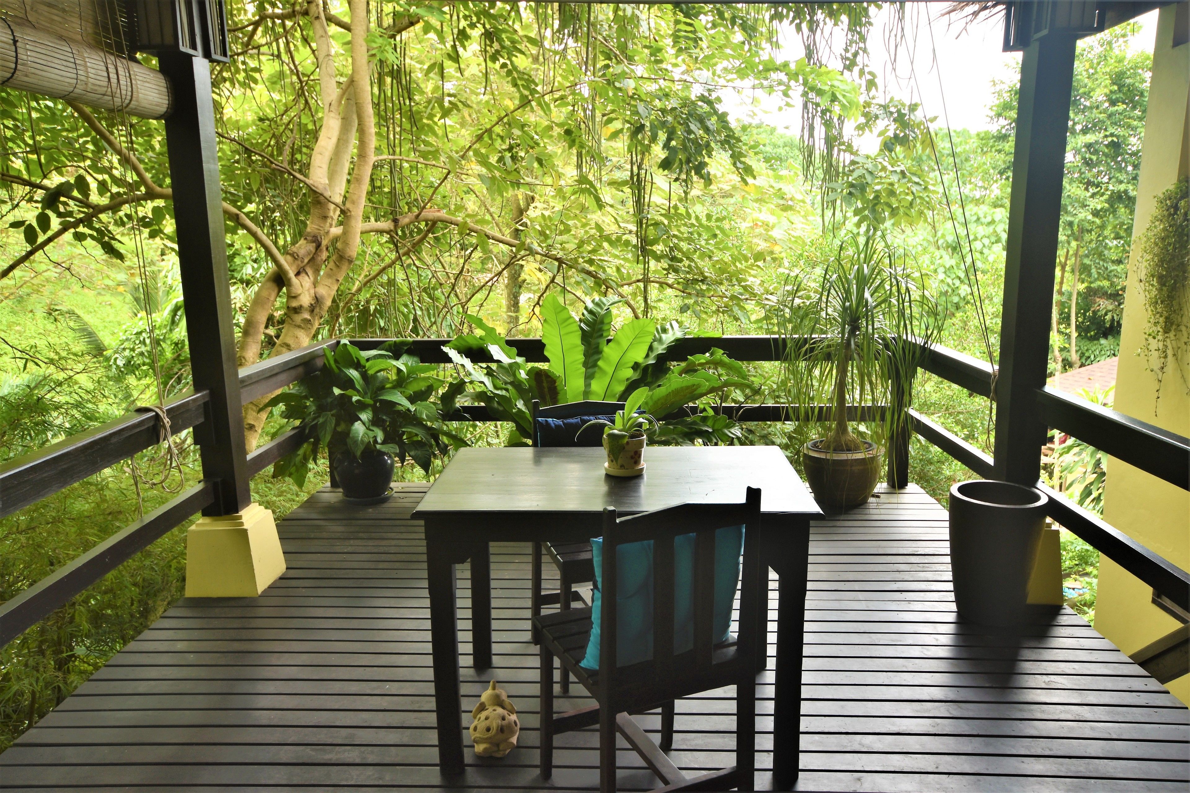 Standard Room | View from room