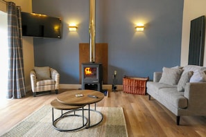 Smart-TV, Kamin