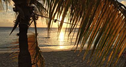 Spacious detached villa for 6 people on the beach of Blue Bay Curacao