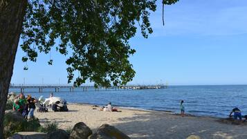 Plage, chaises longues