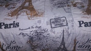A bed with a Paris-themed duvet cover featuring the Eiffel Tower and the word 'Paris'. - Spacious Corner House  NO POOL HOWEVER BEAUTIFUL  PROFESSIONAL POOL TABLE (Cape Coral)