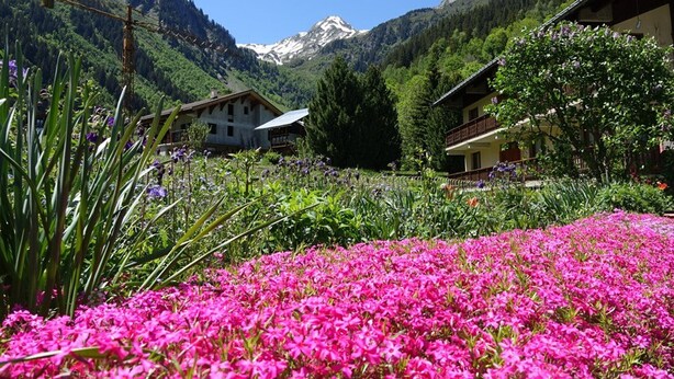A mountain village with traditional houses, a field of pink flowers, and a snow-capped mountain in the background. - Cozy 30m² Apt for 4 at Planay Slopes avec Balcony, Parking & Heated Ski Room (Arêches-Beaufort)