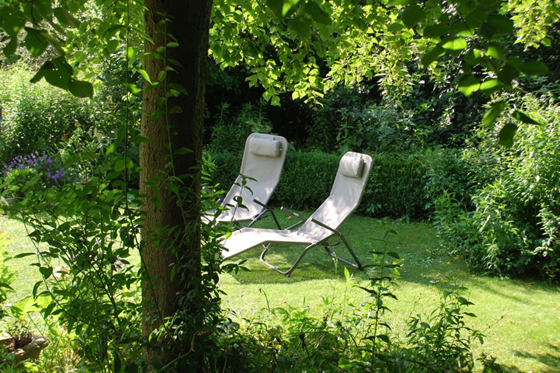 Zwei Loungestühle in einem üppigen Garten.