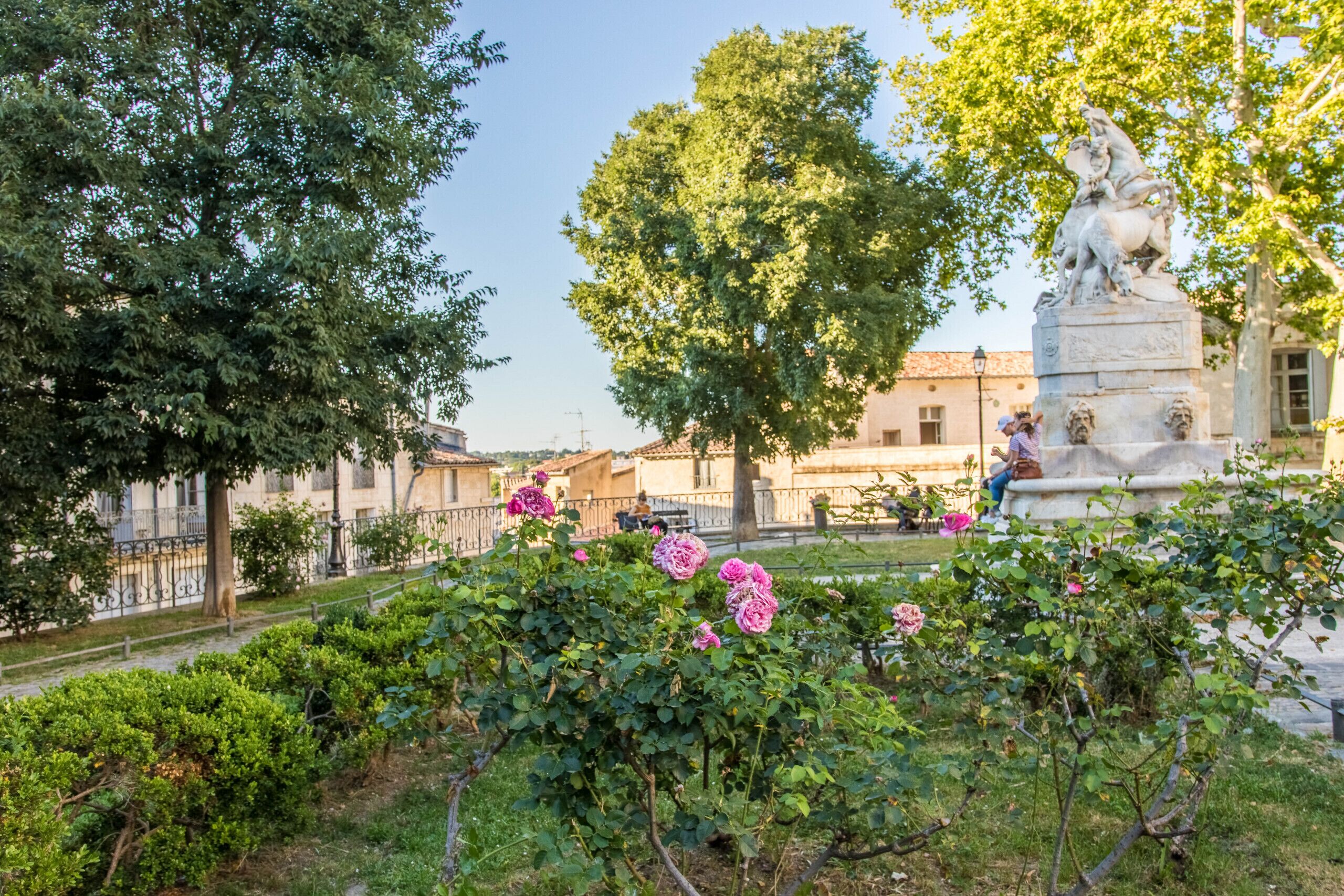 Terrain de l’hébergement 