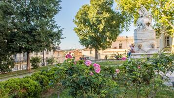 Áreas de la propiedad