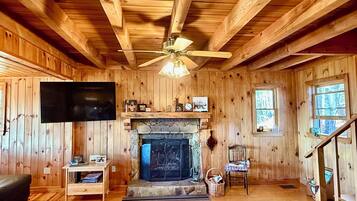 Fernseher, Kamin, DVD-Player, Videothek