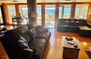 TV, fireplace, DVD player, video library
