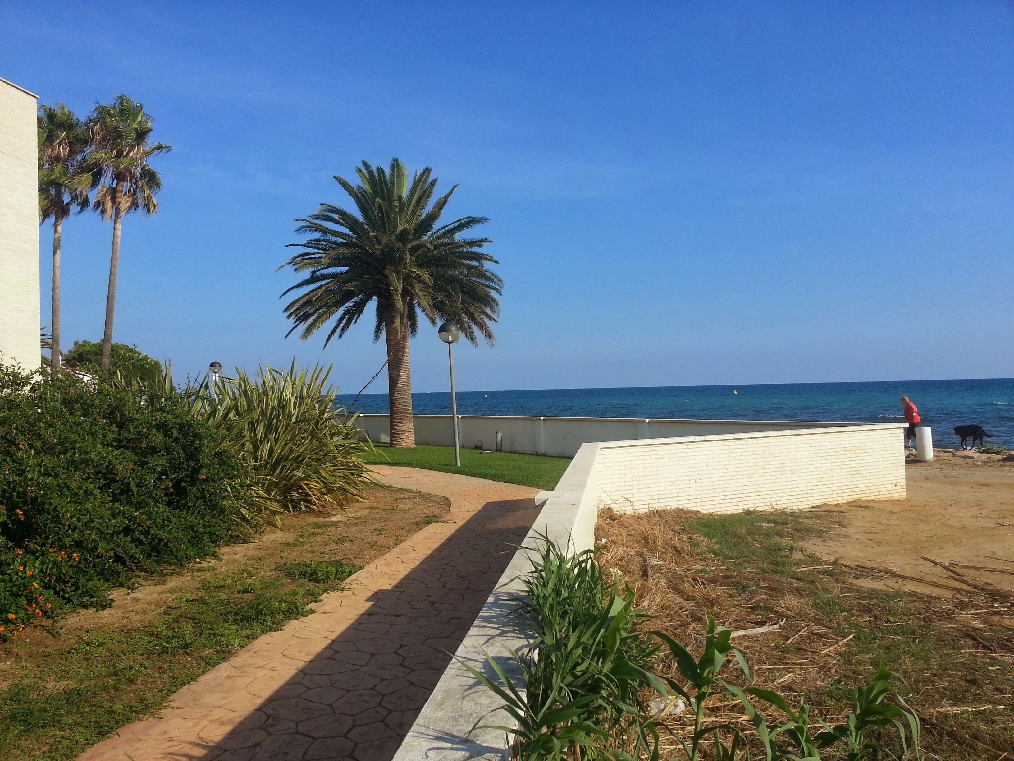 Una playa cerca